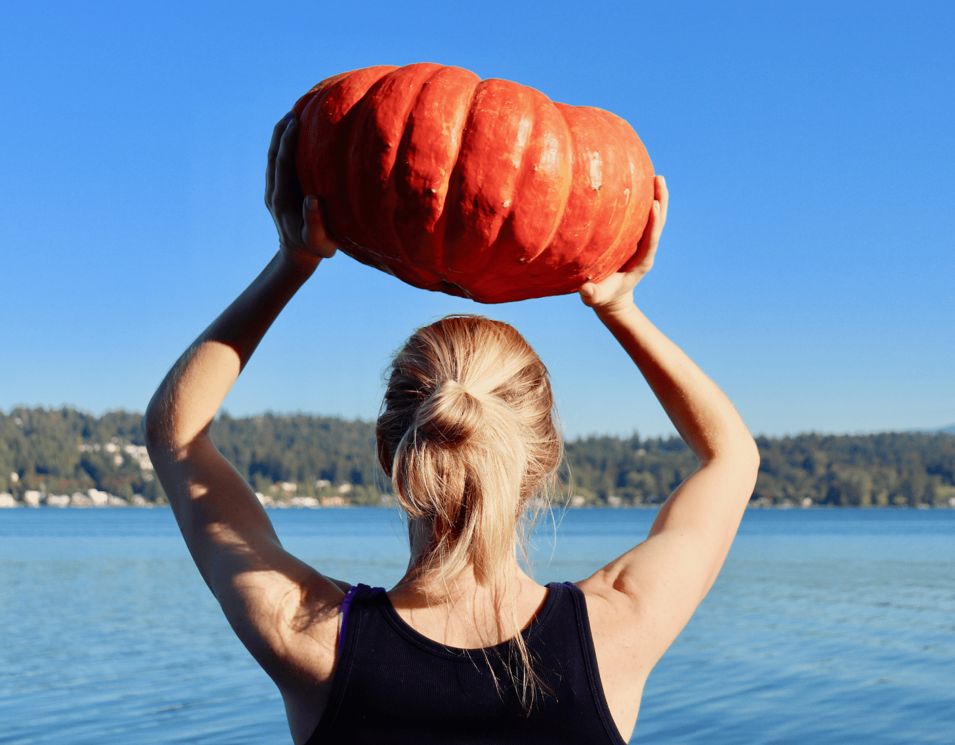 Your Fittbe Pre Thanksgiving Workout Challenge!