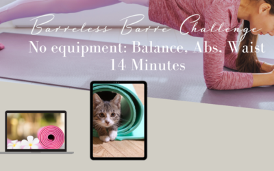 Balanced Based Barreless Barre Workout: 14 Minute Challenge