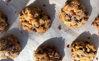 Olive Oil Chocolate Chip Cookies Soft & Chewy!